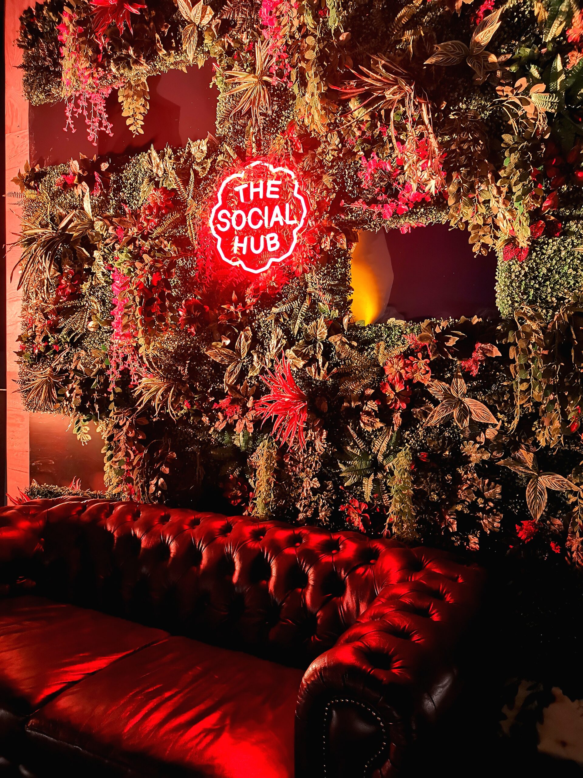 thesocialhub
